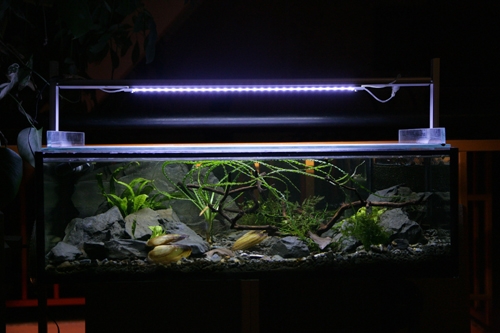 LED-Trägersystem 80cm