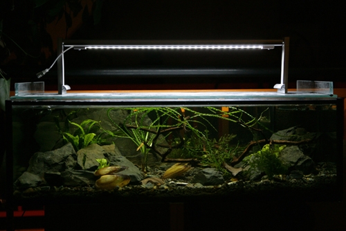 LED-Trägersystem 60cm